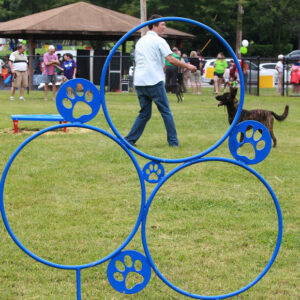 Dog Park Hoops