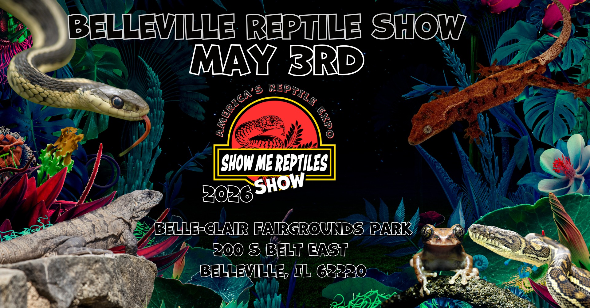Show Me Reptiles