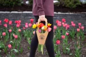 tulip trail eckerts